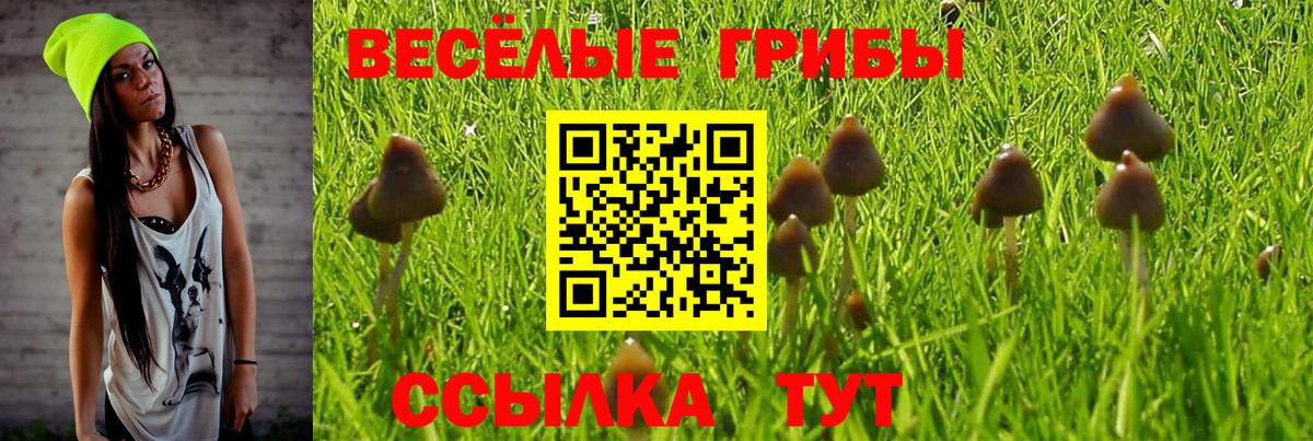 как найти закладки  Галлюциногенные грибы мухоморы  Вход с VPN  Вышний Волочёк 