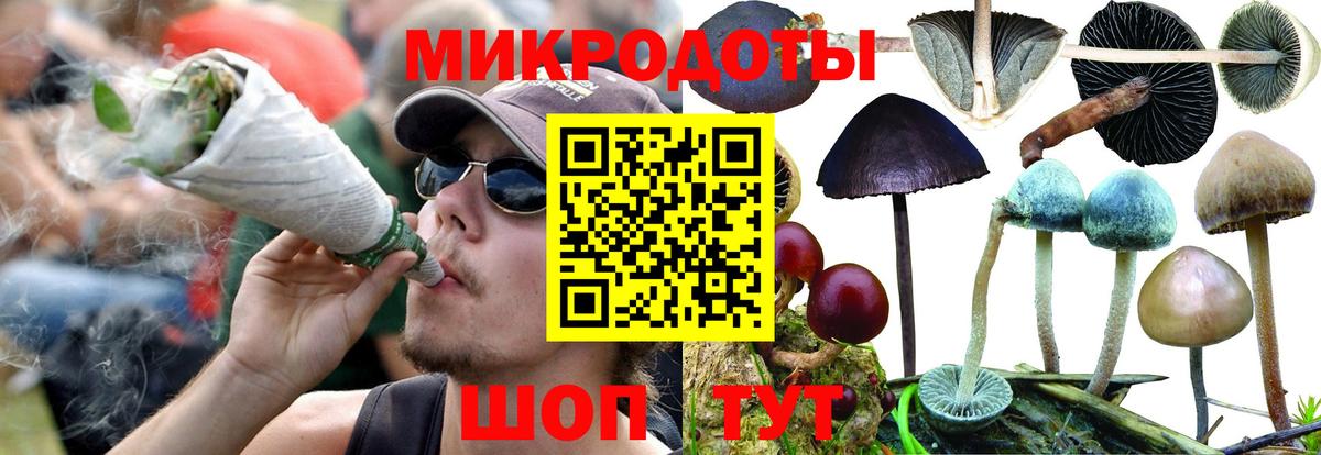 Псилоцибиновые грибы Magic Shrooms Вышний Волочёк